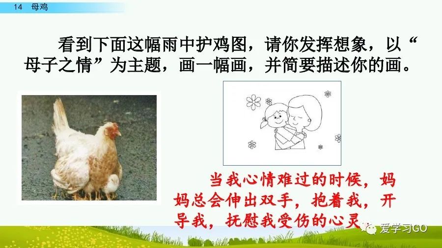 部编版四年级下册15课白鹅解析,部编版四下语文第13课母鸡预习