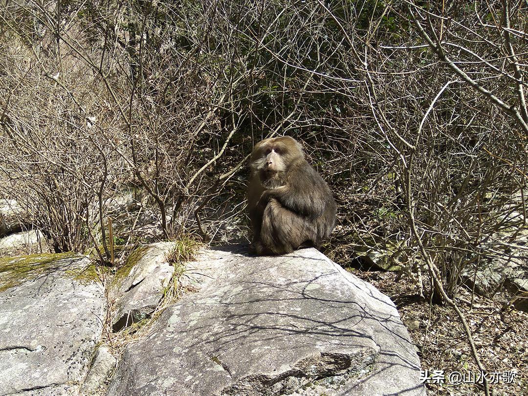 石家庄至黄山自驾游攻略,石家庄黄山自驾游中途有哪些景点