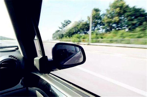 怎么消除宠物狗异味,养宠物狗怎么在屋内清除异味