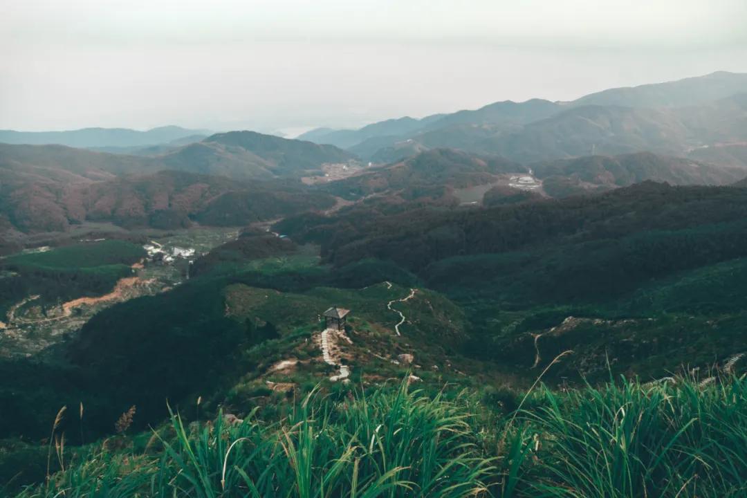 中国梅岭越野比赛视频,2019中国梅岭国际越野挑战赛成绩