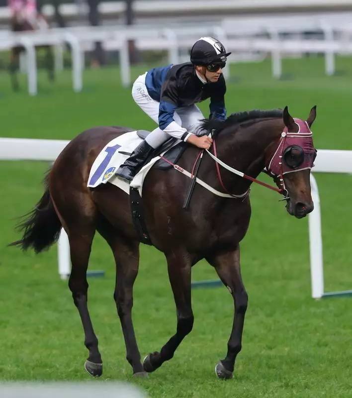 澳门叠码仔香港驯马师，靠豪门致富的那些人，他们的故事也很精彩