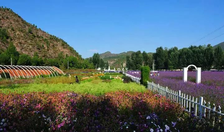 休闲农业特色案例,创意田园休闲农业