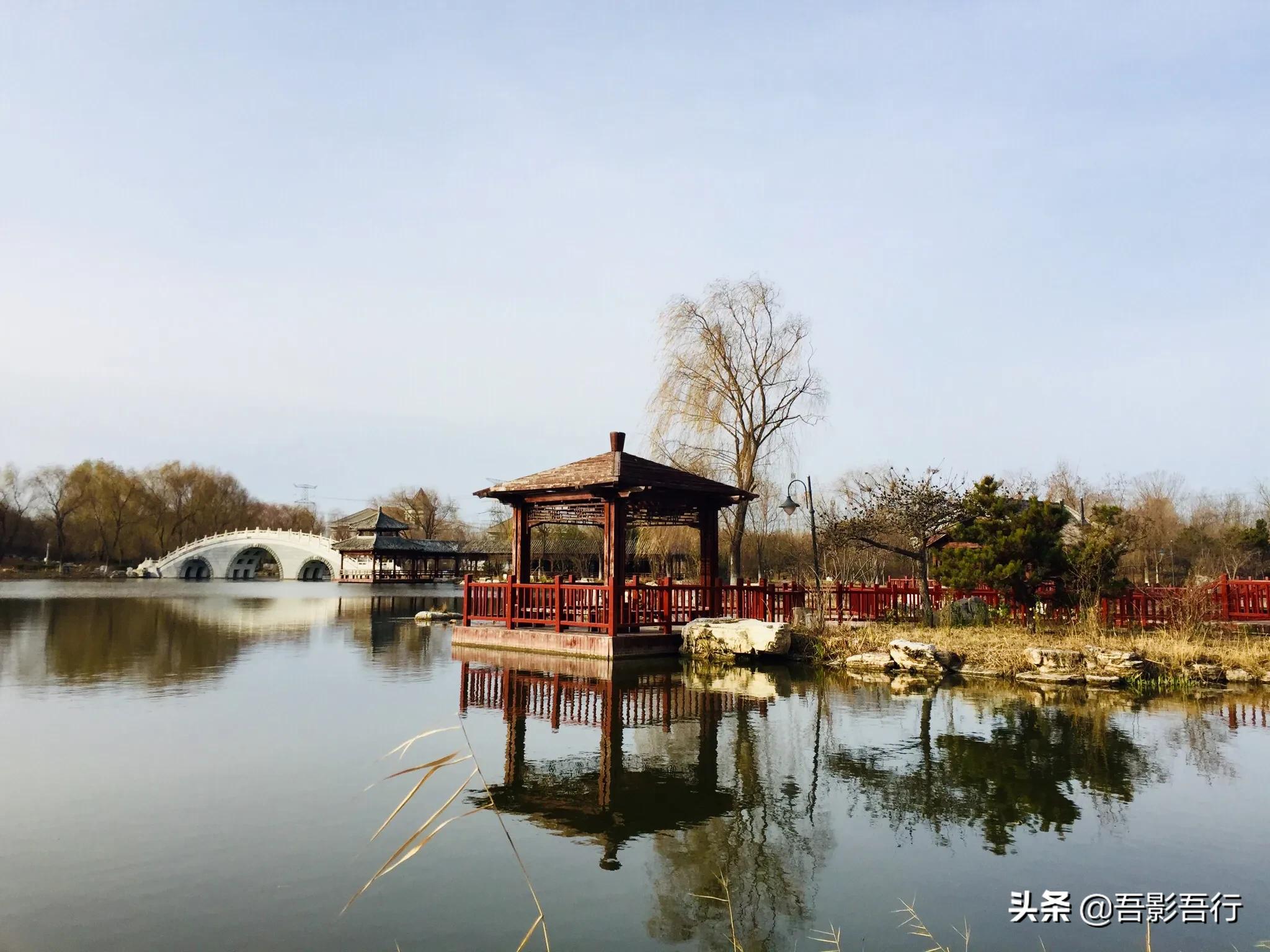 武清津北森林公园有哪些景色,天津武清森林公园开放时间表