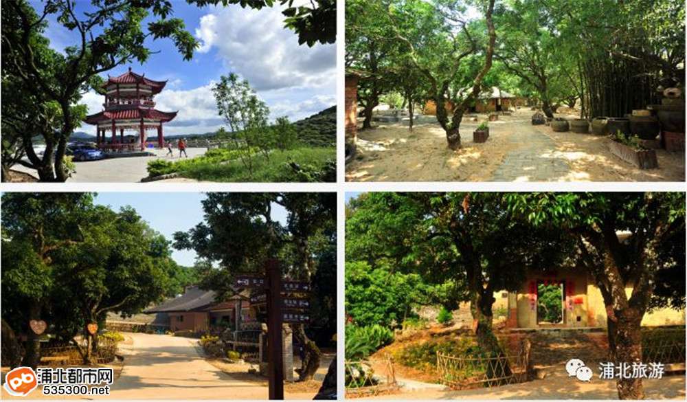 广西浦北钦州旅游详细攻略,广西浦北5a级景区