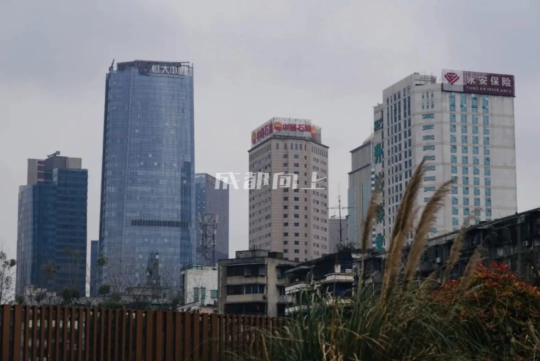 如何让成都变东京？网友：大LOGO收敛点