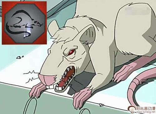 12个符咒,12个符咒各有什么样的力量