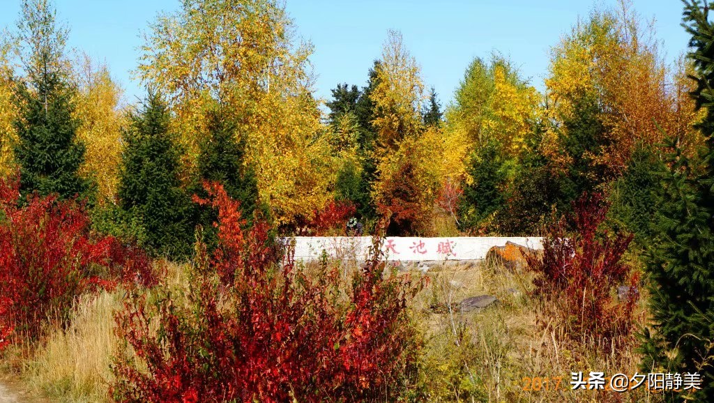 走进新疆天山天池真的美,天山天池之美