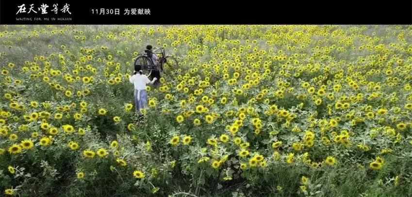 没有这两个妹妹，他就成为不了一位好导演！