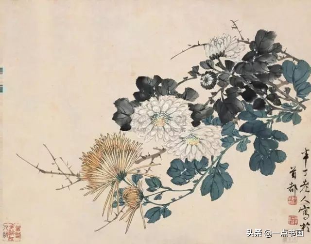 国画菊花画法步骤图解,国画菊花品种大全