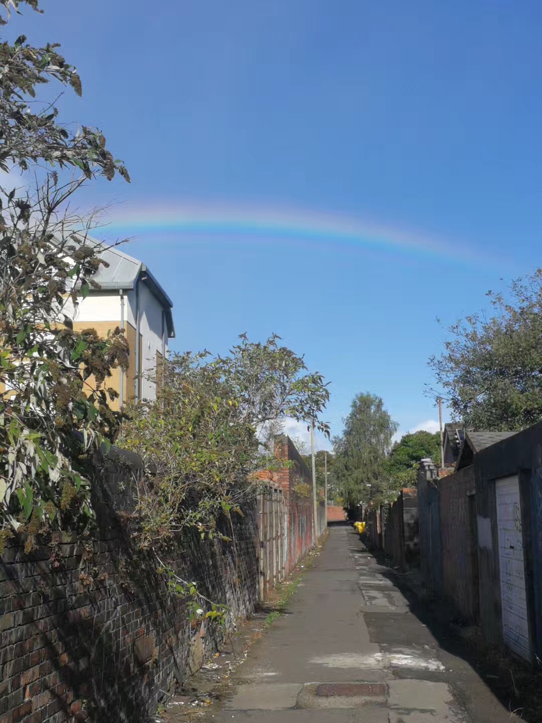 卡迪夫大学计算机专业如何?4大热门计算机专业提供带薪实习!