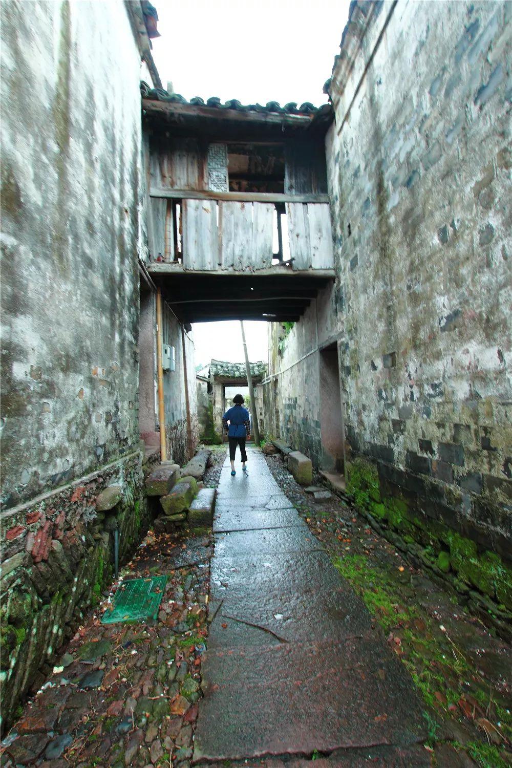 书藏古今港通天下,书藏古今港通天下央视