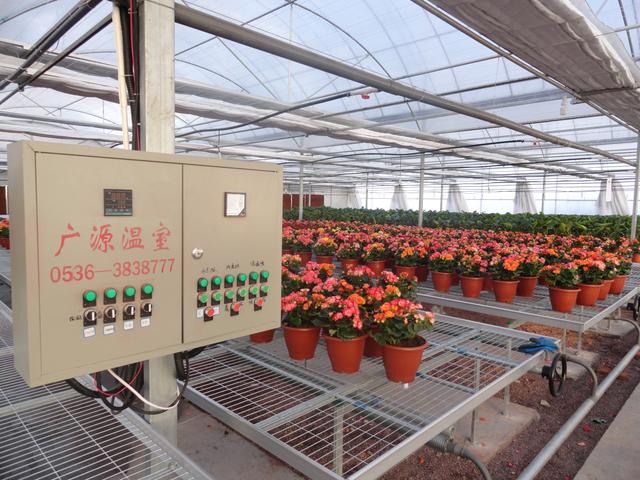 连栋温室大棚价格是多少钱一平方,薄膜连栋温室大棚多少钱一亩