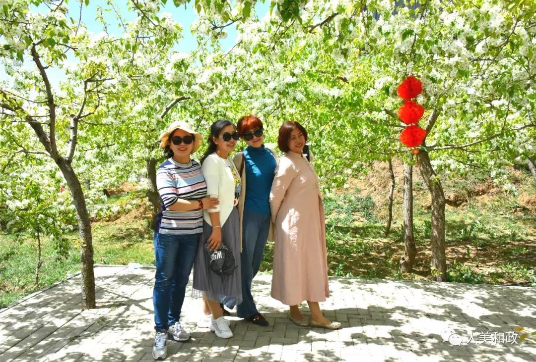 绿色和政春深夏浅风光好山美花浓待君来