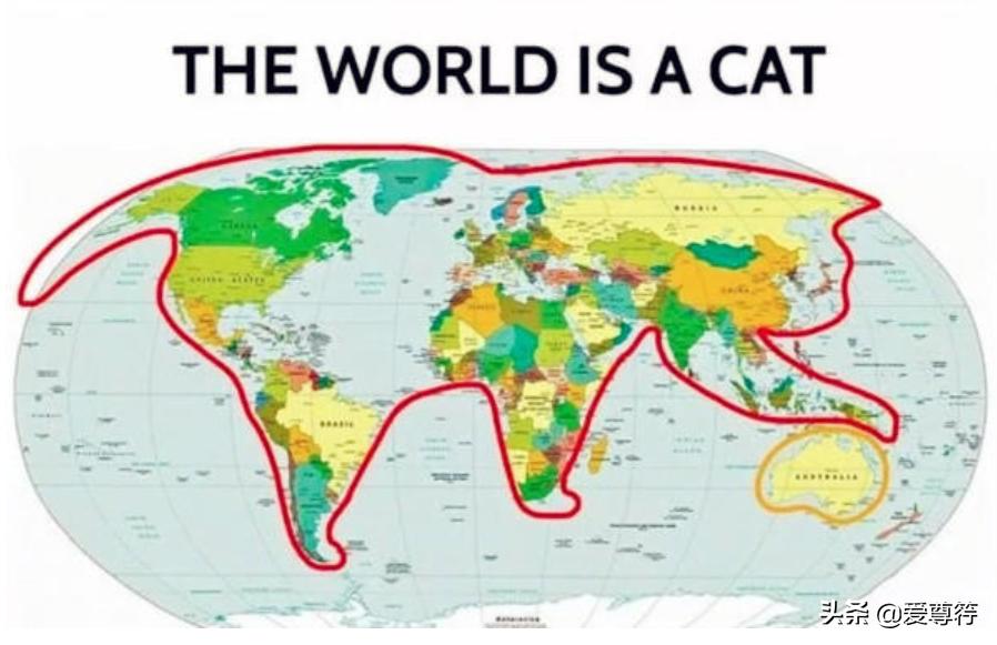 几张有趣的世界地图统计