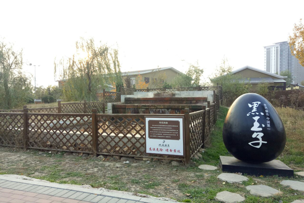 辽宁最好的温泉度假酒店,辽宁温泉小镇前十名