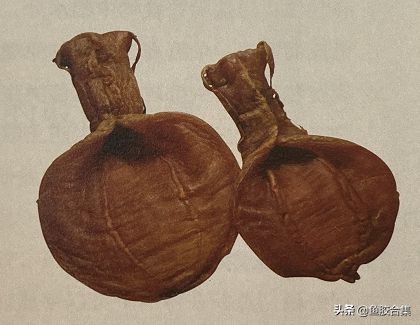 什么鱼胶适合长期保存,鱼胶用什么储存