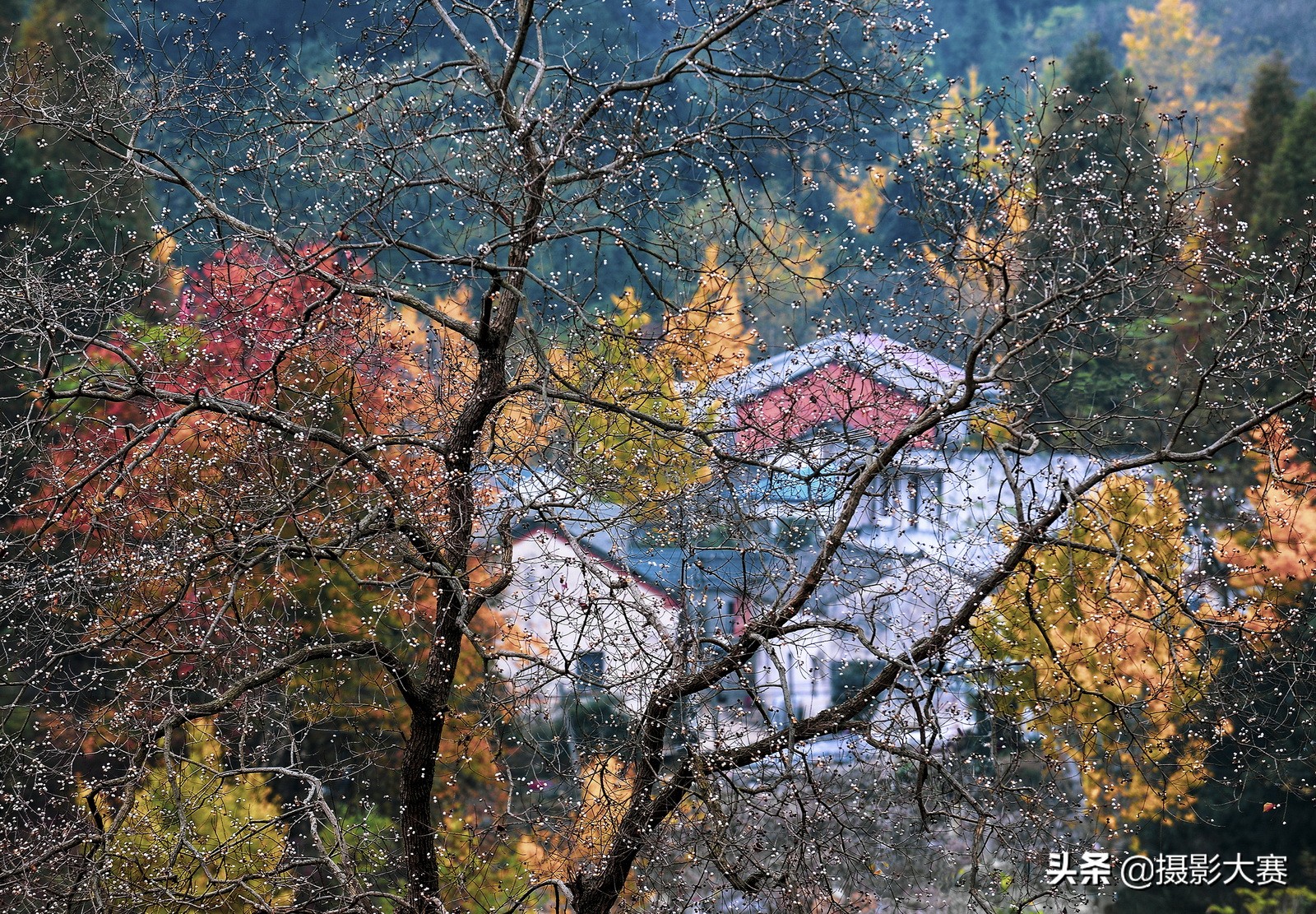 有你吗原版答案,有你吗视频完整版