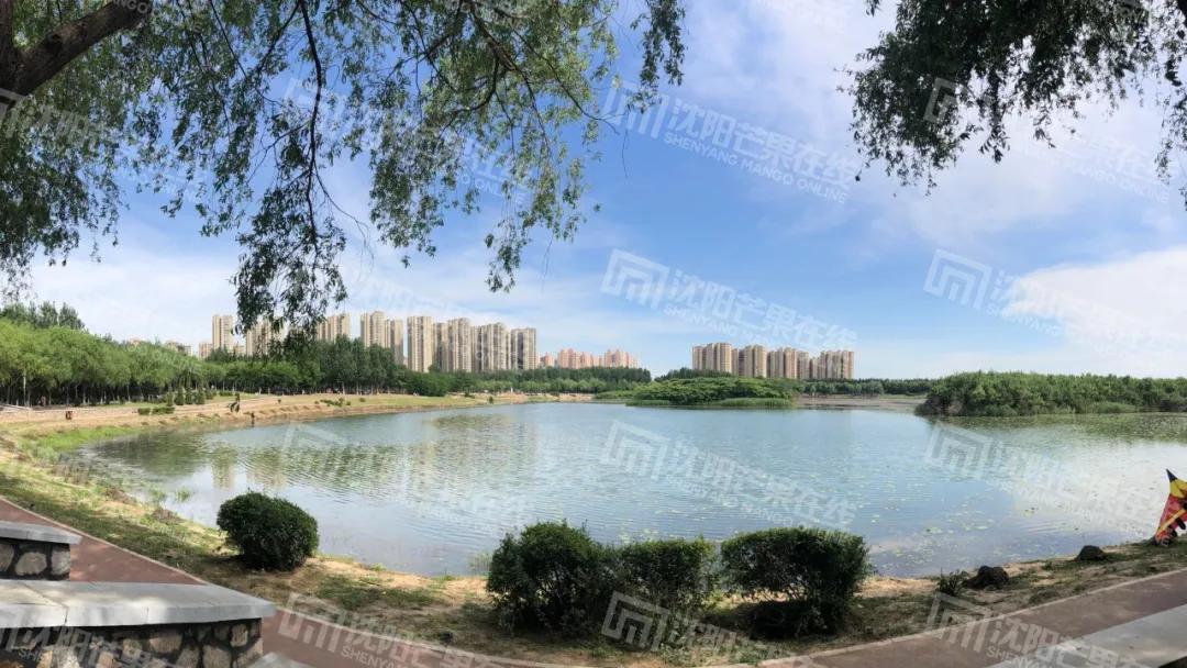 于洪新增一所小学，丁香东湖公园也稳了