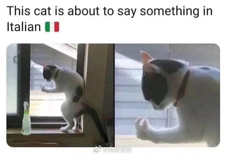 不愧是意大利人阅读理解,不愧是意大利人