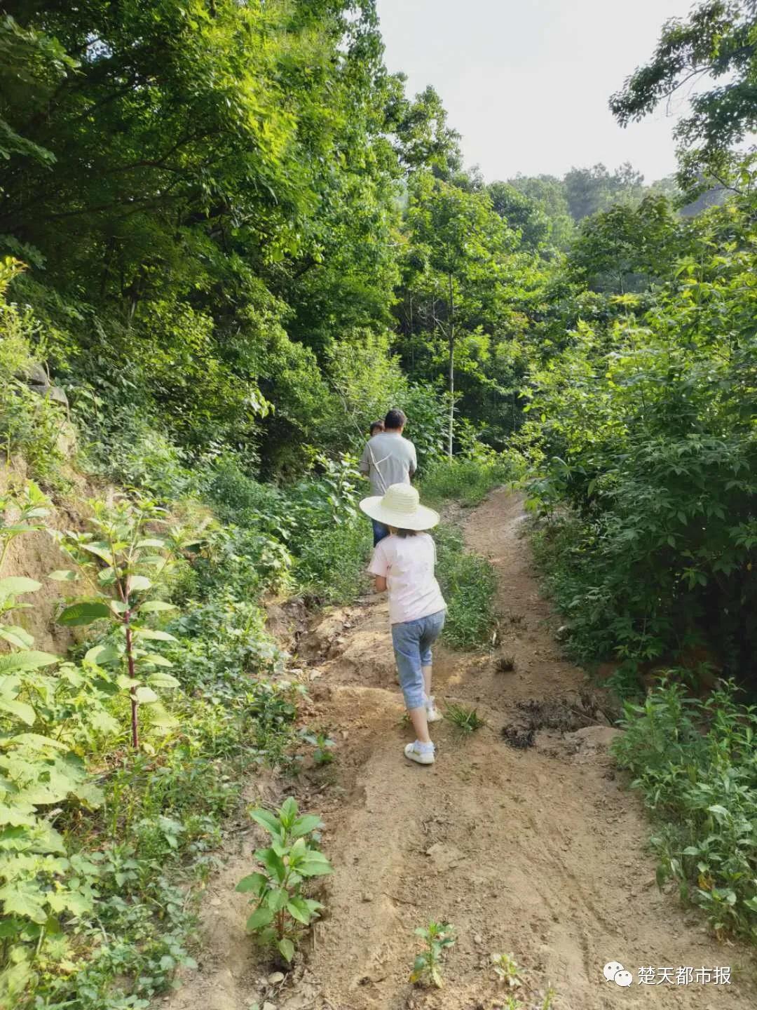 妗堟澘涓嬩笂缃戣,妗堟澘涓嬩笂缃戣鐨勫皬濂冲