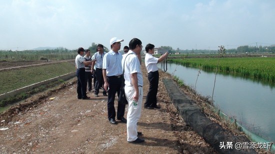 三招解决虾塘问题,虾塘问题及解决方法