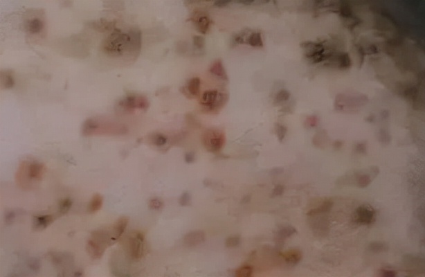 猫狗常见病有哪些症状图片,猫狗皮肤病怎么鉴别