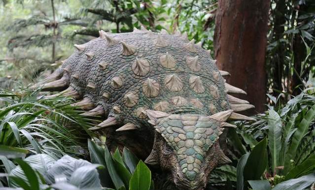 广州长隆四天三晚旅游推荐,4天去广州长隆和珠海看海怎么玩