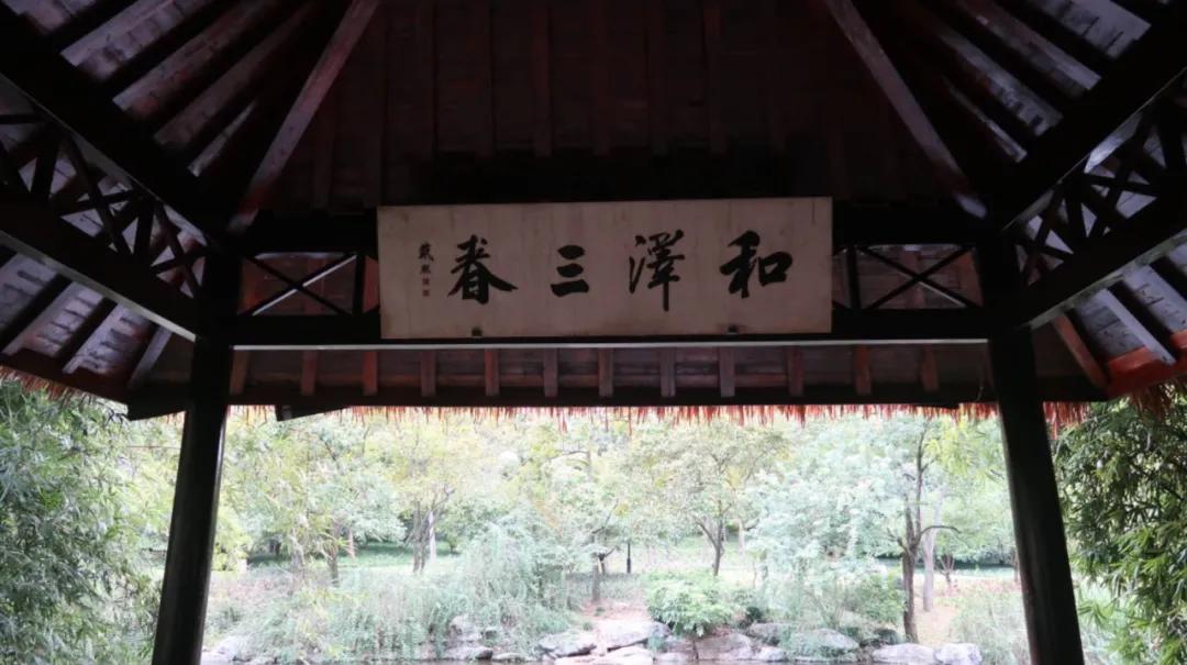 杭州西湖3天2晚自由行攻略,24小时杭州之旅