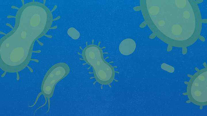 疫情何时能结束最新预测,疫情何时能够消失