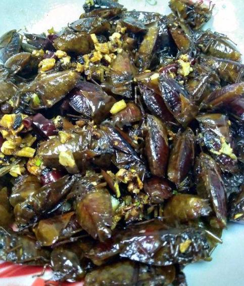 臭屁虫吃美食,吃臭屁虫方法