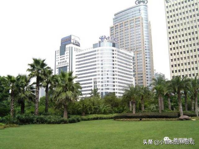 住宅小区植物配置方案,植物种植小技巧一览表图
