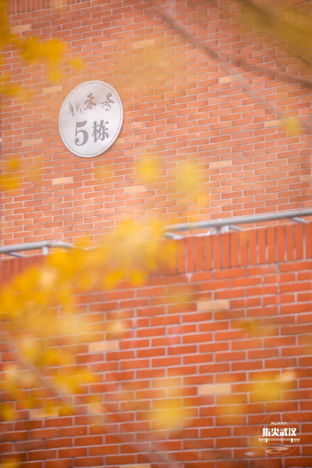 我在汤逊湖畔的华农楚天学院，剪一段复古的小时光