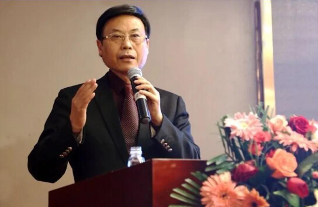 安徽白马集团汪登厚,合肥白马汪登厚