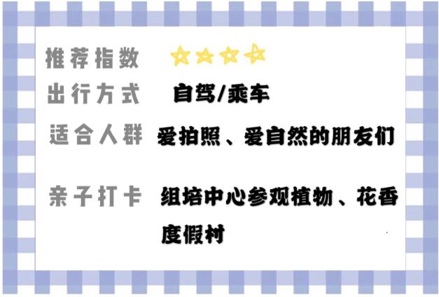 乐至网红打卡地景点推荐,乐至周边游玩景点推荐