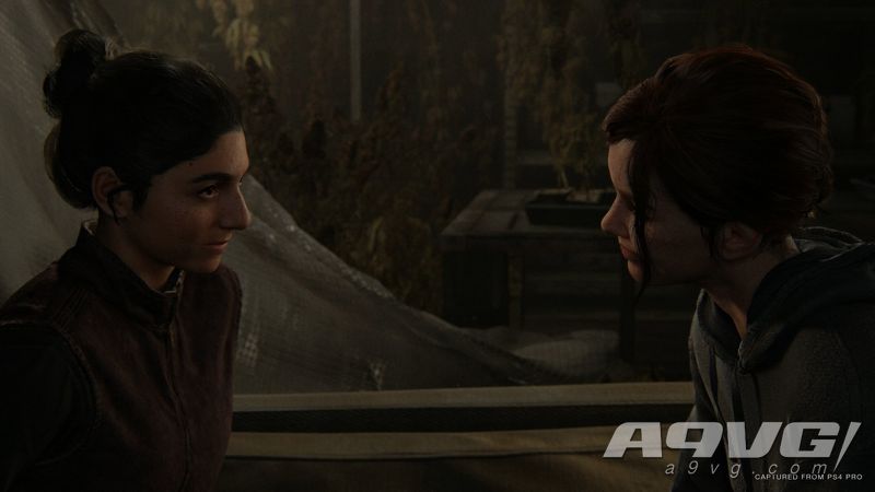 最后生还者2被国外玩家评价,最后生还者2重制典藏版