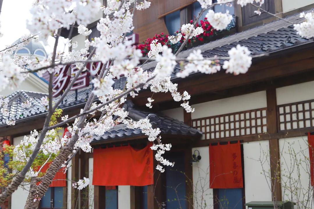 华谊兄弟电影世界几点开园,华谊兄弟苏州电影世界开园