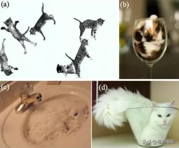 太硬核了全场高能视频,太硬核了全场高能