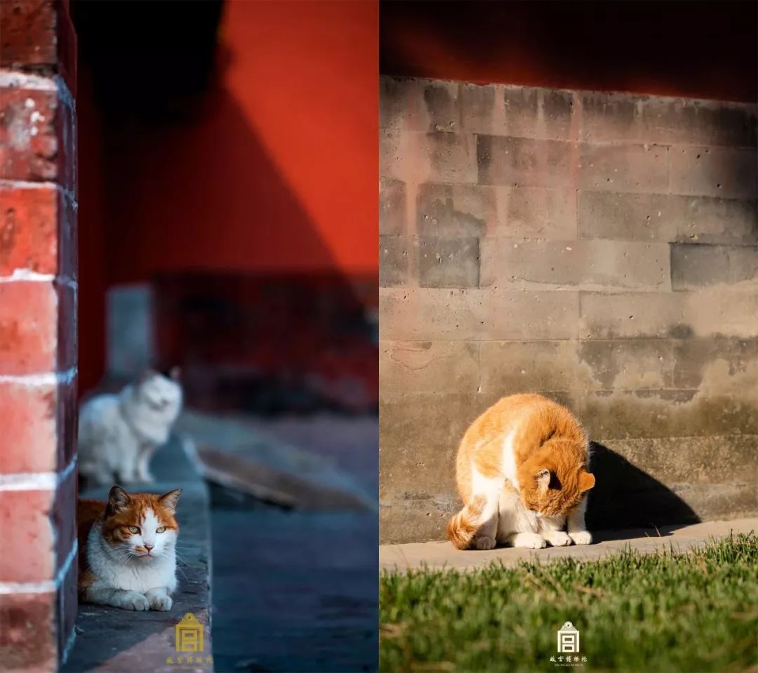 携程好还是去哪儿网？五一买票谁更划算？