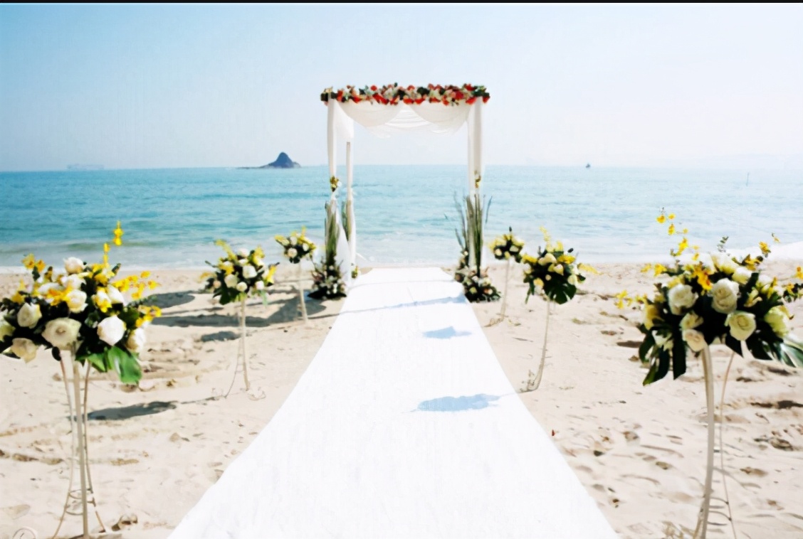 小众婚礼策划方案,2022经典婚礼策划方案5篇