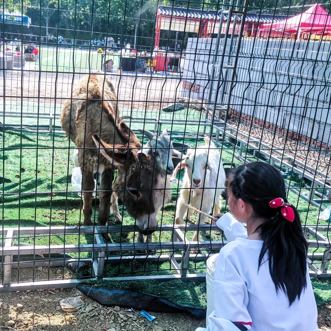 亲子游玩好去处欢乐果亲子农场,快乐六一亲子游农场游玩攻略来袭