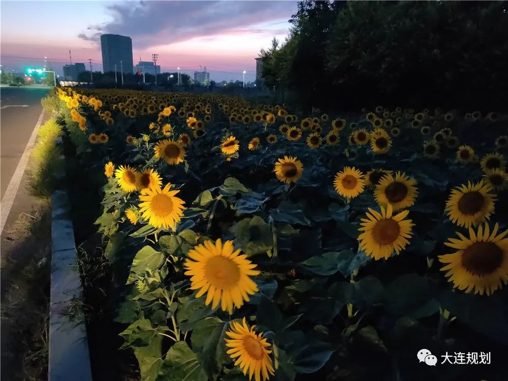 大连长兴岛与瓦市合并了吗,大连长兴岛一体化项目