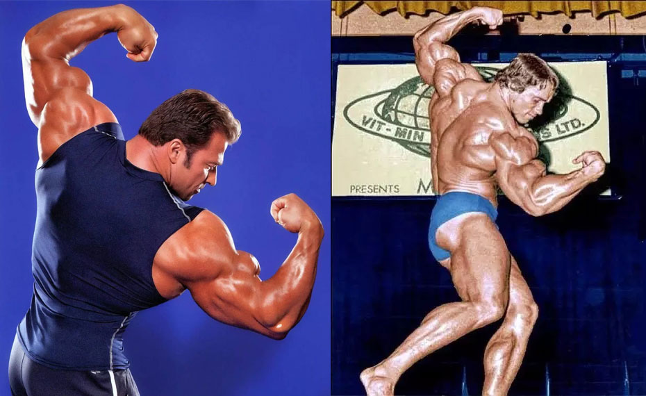 冈特施莱坎普击败罗尼比,冈特施莱坎普vs罗尼2002年