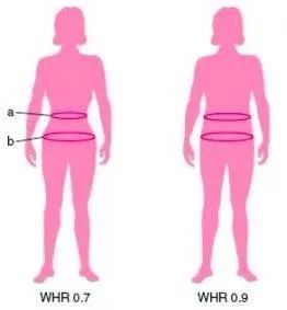 测一测你的脂肪有多少,测测你的内脏脂肪多少级