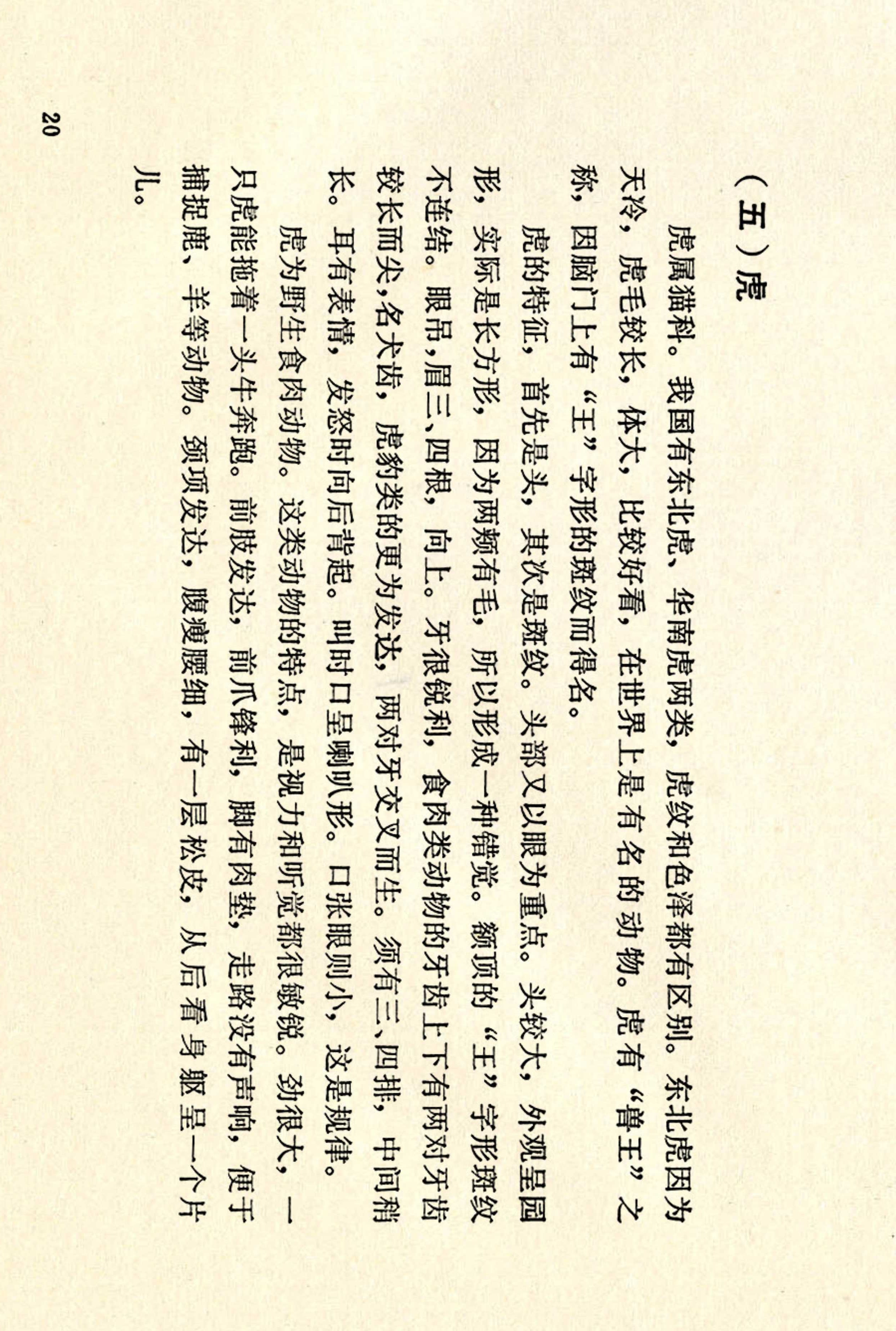 刘继卣画的学习方法,刘继卣动物插画