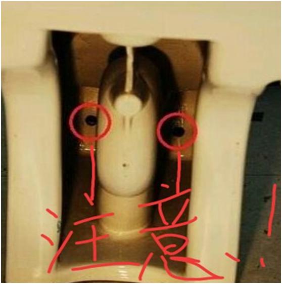 卫生间下水道小黑虫如何处理,洗手间里的小黑虫怎么消灭