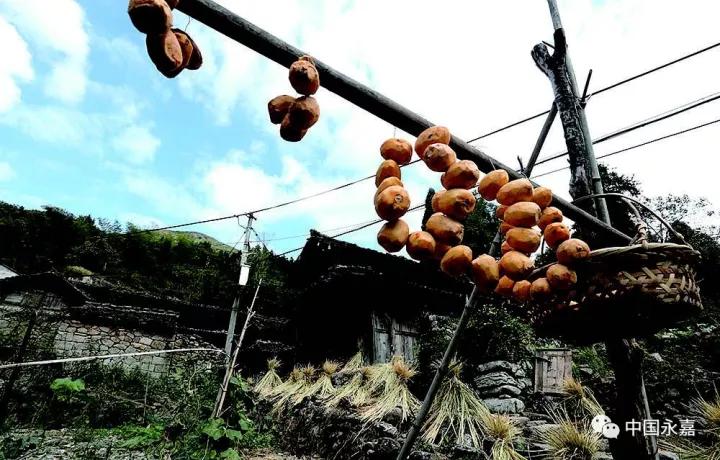 家家门口有捣臼，一座四合院曾住近百人，这里就是永嘉最东的村庄