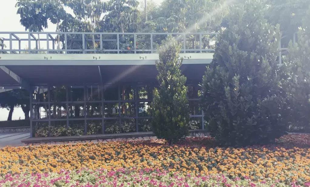 深圳湾公园这里有什么好吃的,深圳湾在哪里