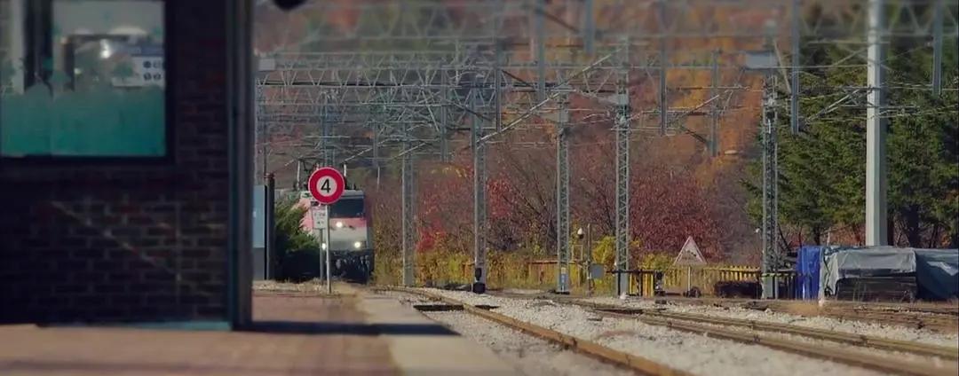 给吃了“*药春**“的时代泼点凉水，或许也是一种生活方式