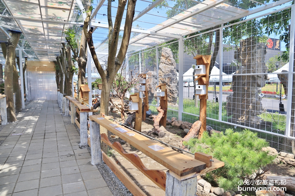 台湾绮丽粉珊瑚,台湾绮丽珊瑚工业