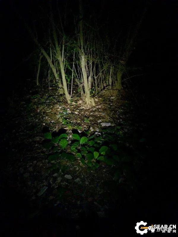 一举未必三得——务本TP10战术笔入手体验